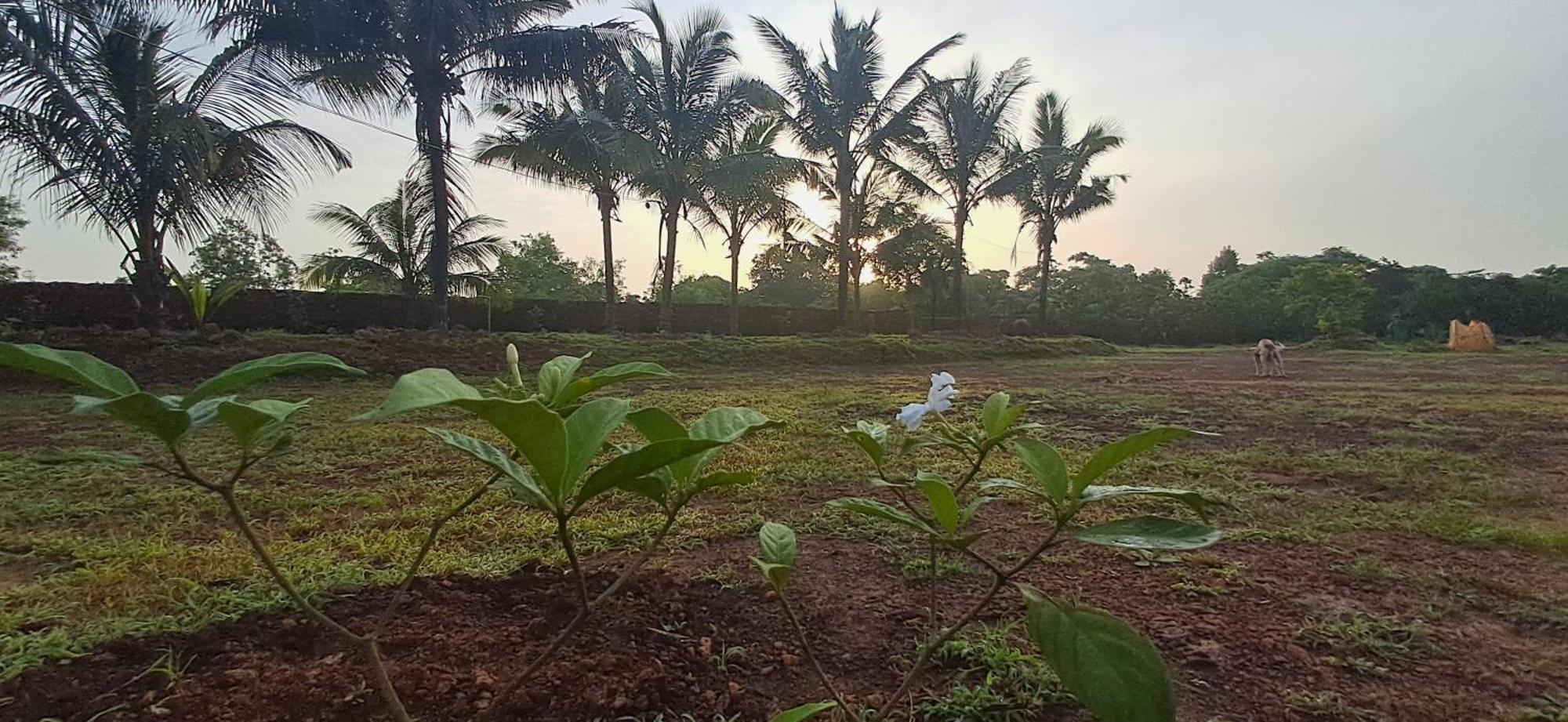 Arpita Farmstay Mālvan Buitenkant foto